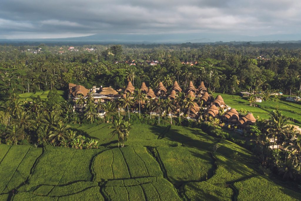 Manuaba Rice Terrace