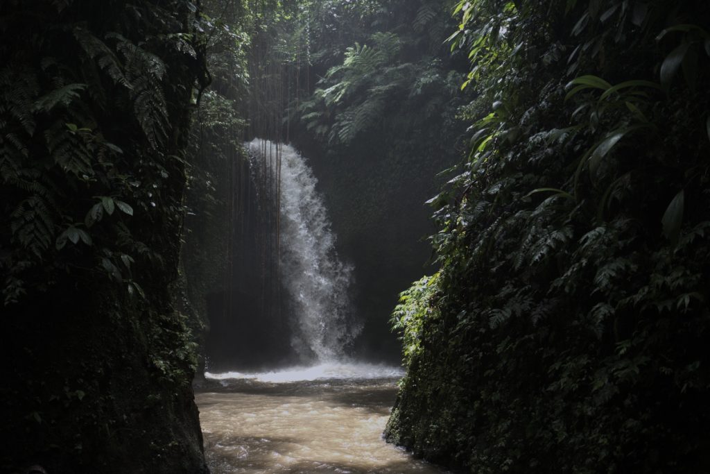 The Beauty of Manuaba Waterfall