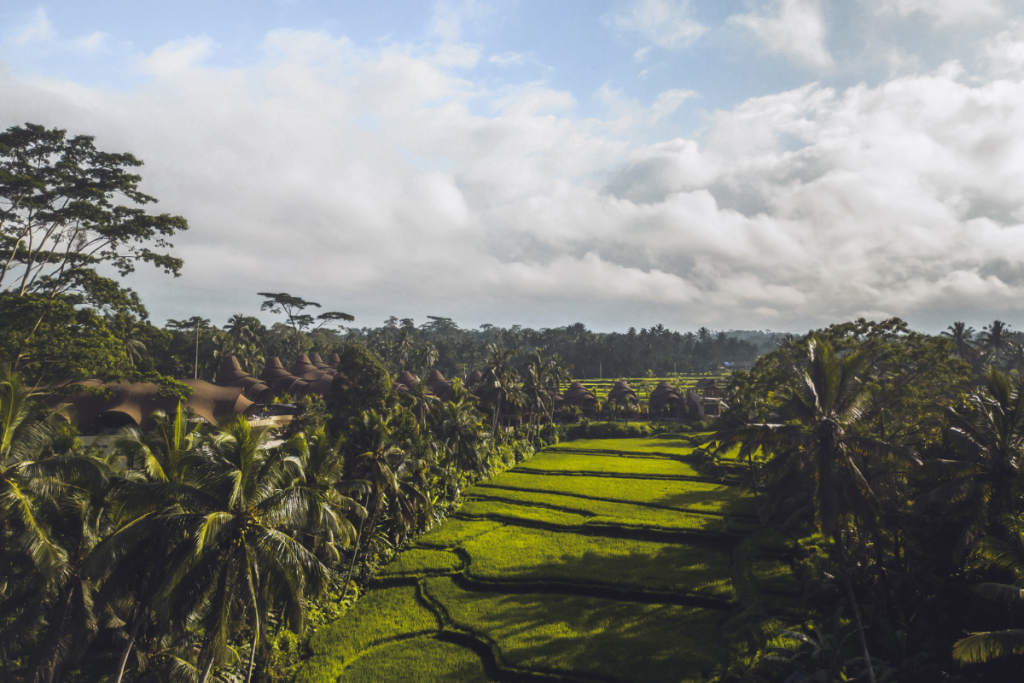 Ubud