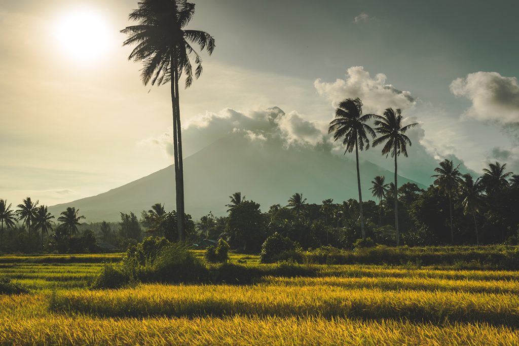 Honeymoon Stay in Ubud