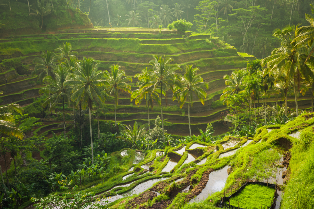 subak balinese
