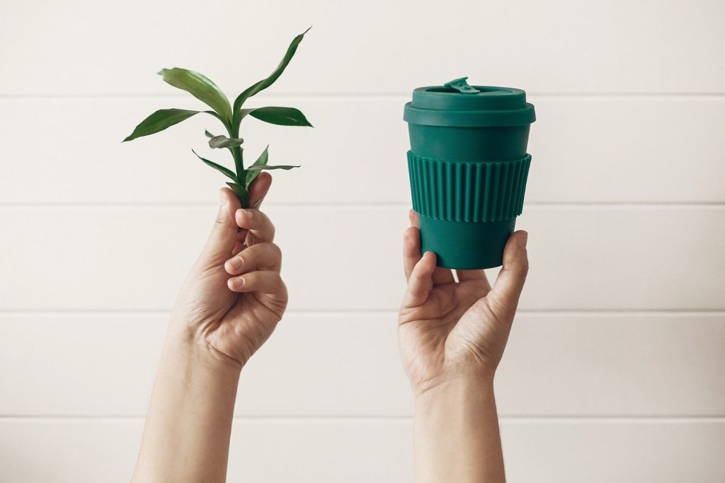 Steps to Live More Sustainably Today