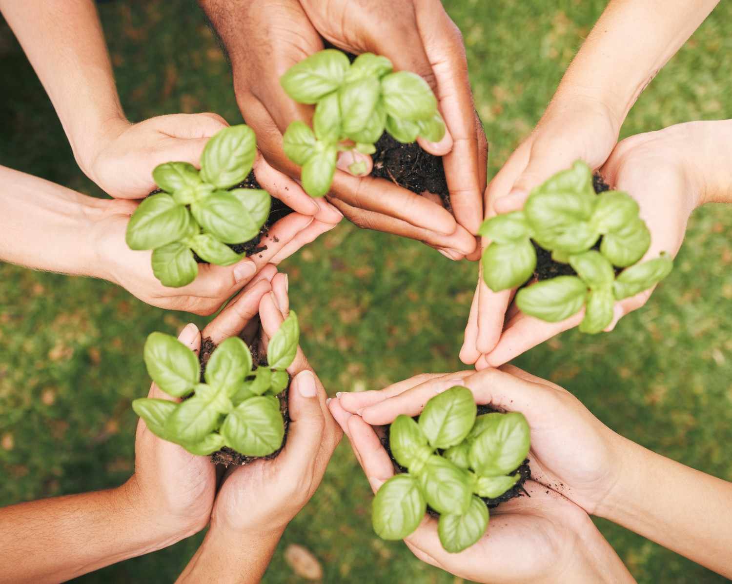 Sustainable Living: A Practical Guide to a Greener Everyday Life