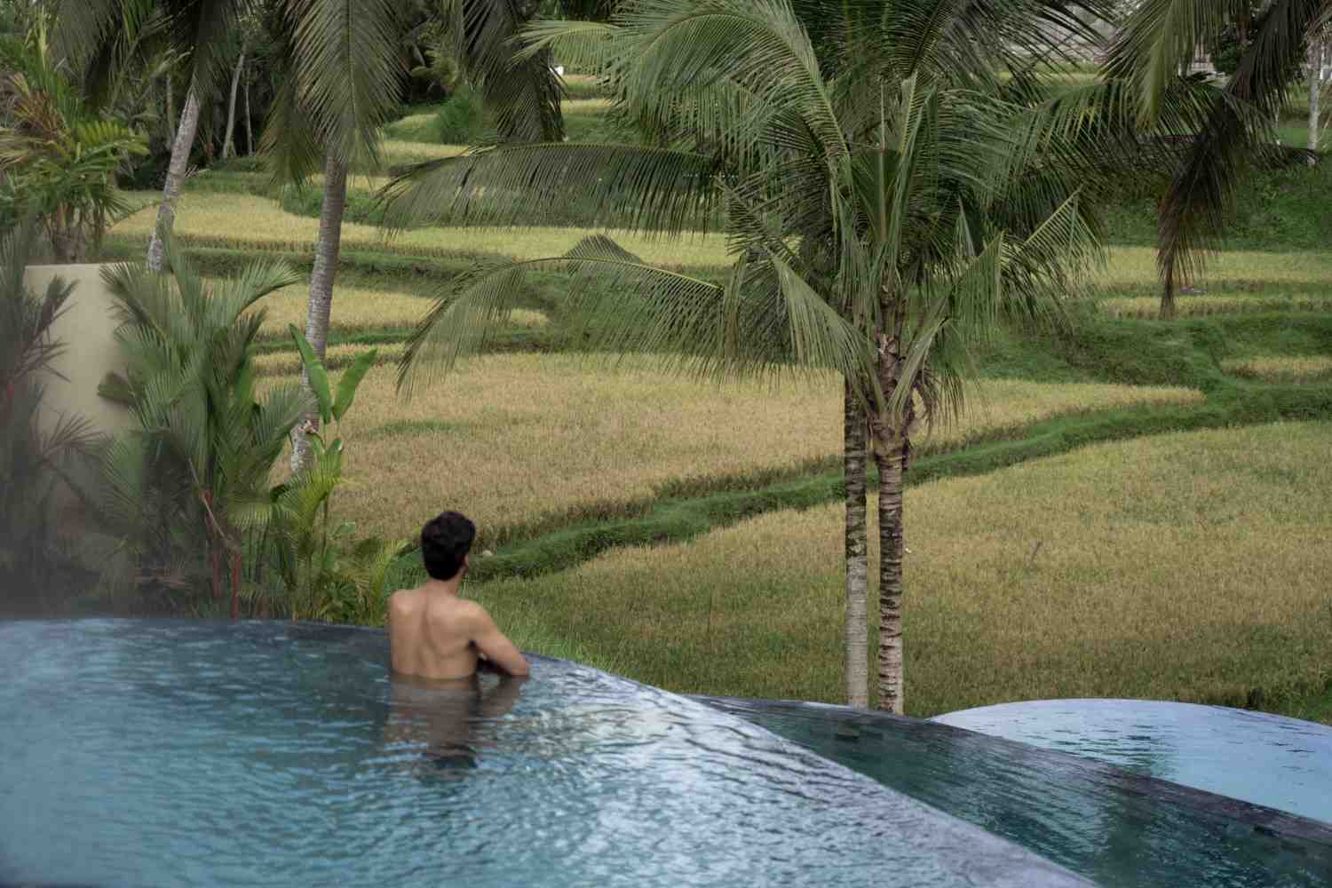 Kenderan Ubud: Discovering Bali’s Village of Waterfalls and Ancient Heritage
