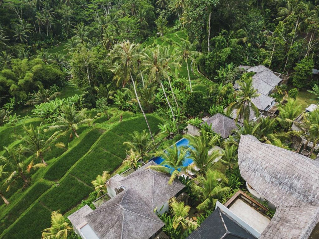 ubud atmosphere