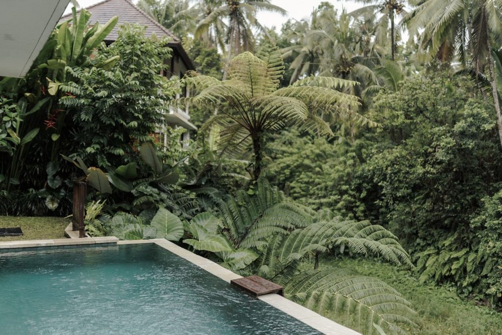 Jungle View Villa 