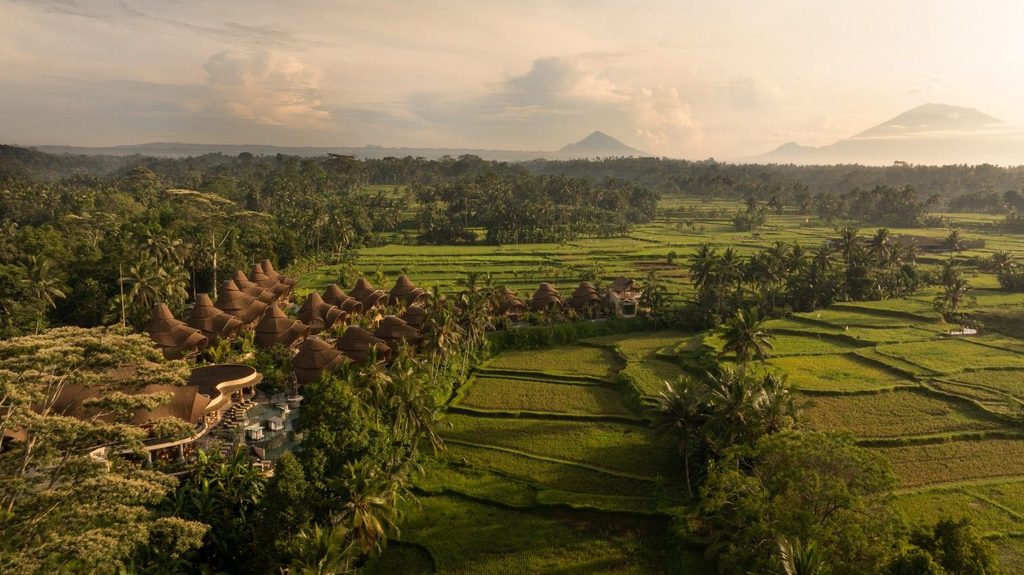 Eco Resort vs. Regular Resort